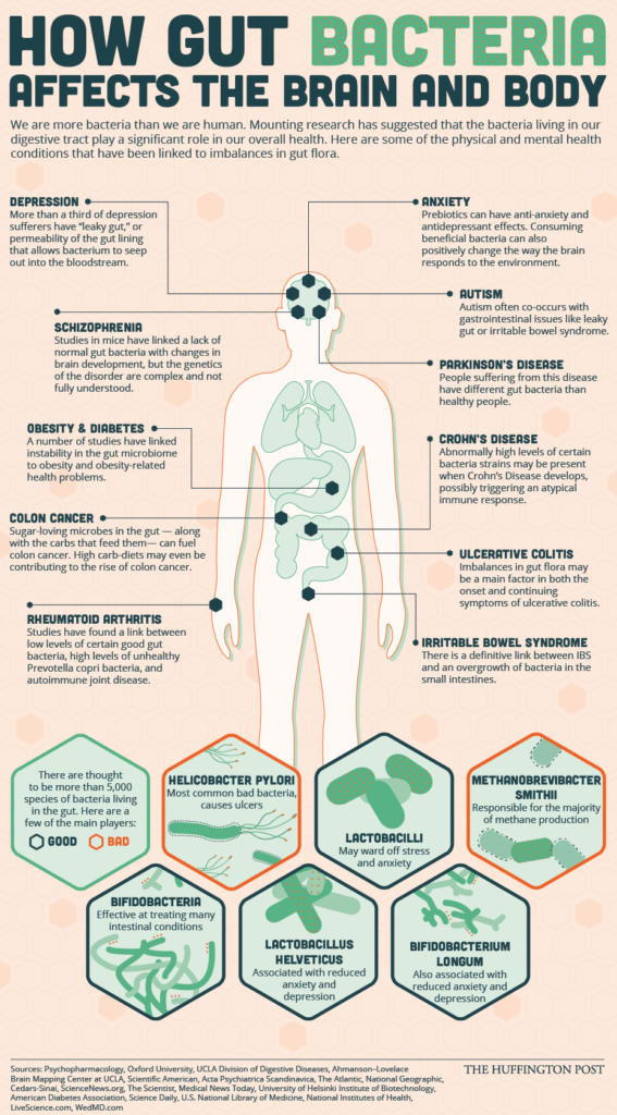 Chart shows how gut bacteria affect the brain and body through the gut-brain axis.