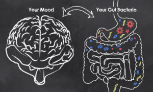 Chalk drawing of correlation between gut microbiome bacteria and your mood.