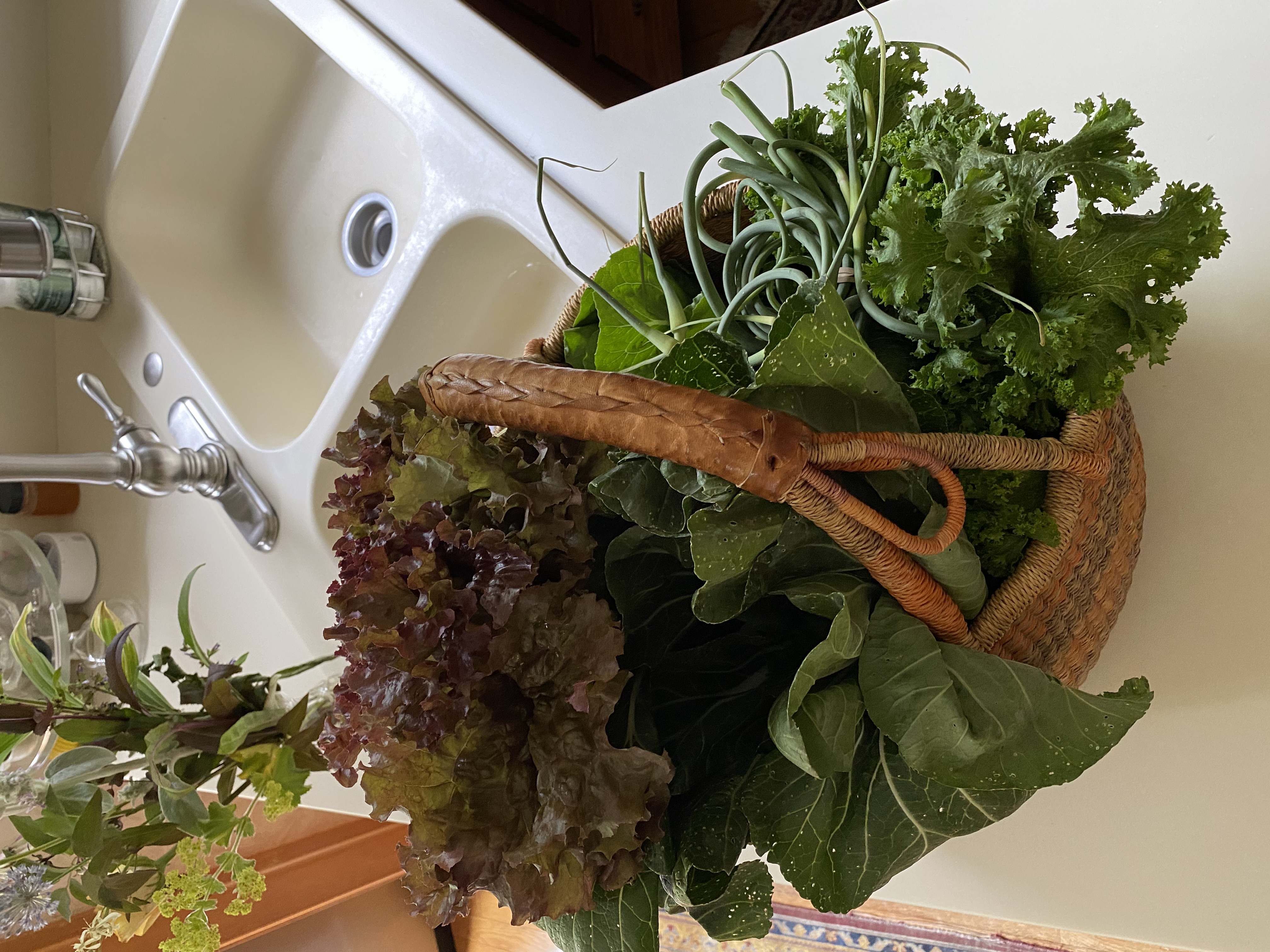 Bordua Farms CSA basket with garlic scapes