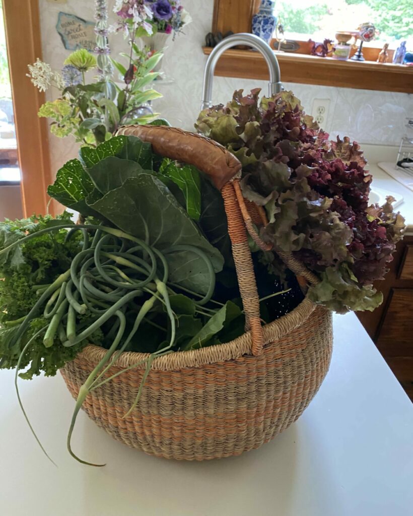 July 2023 Farm share with Garlic Scapes